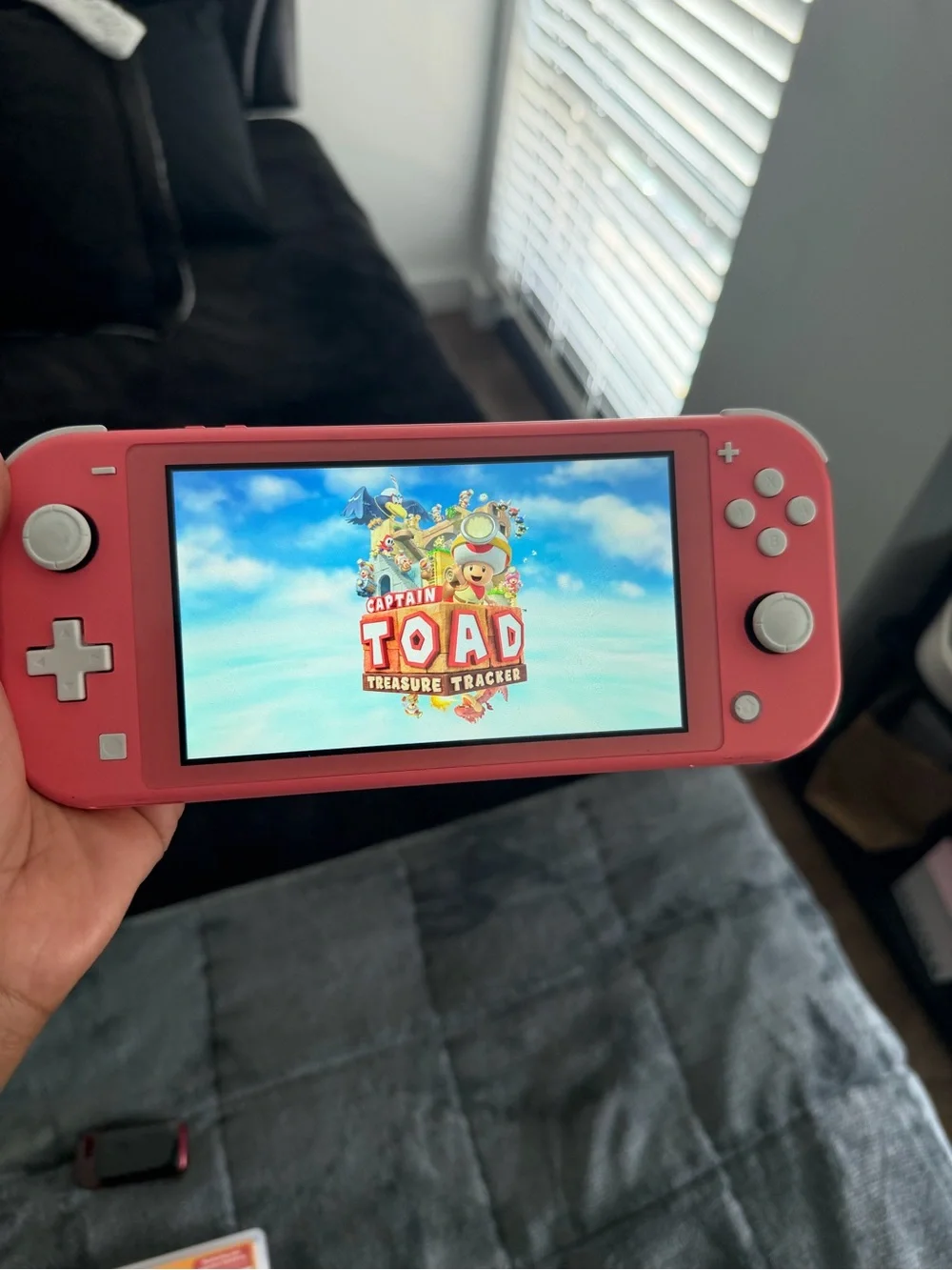 Nintendo Switch nintendo switch